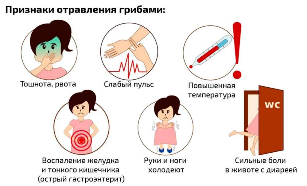 Симптомы отравления грибами