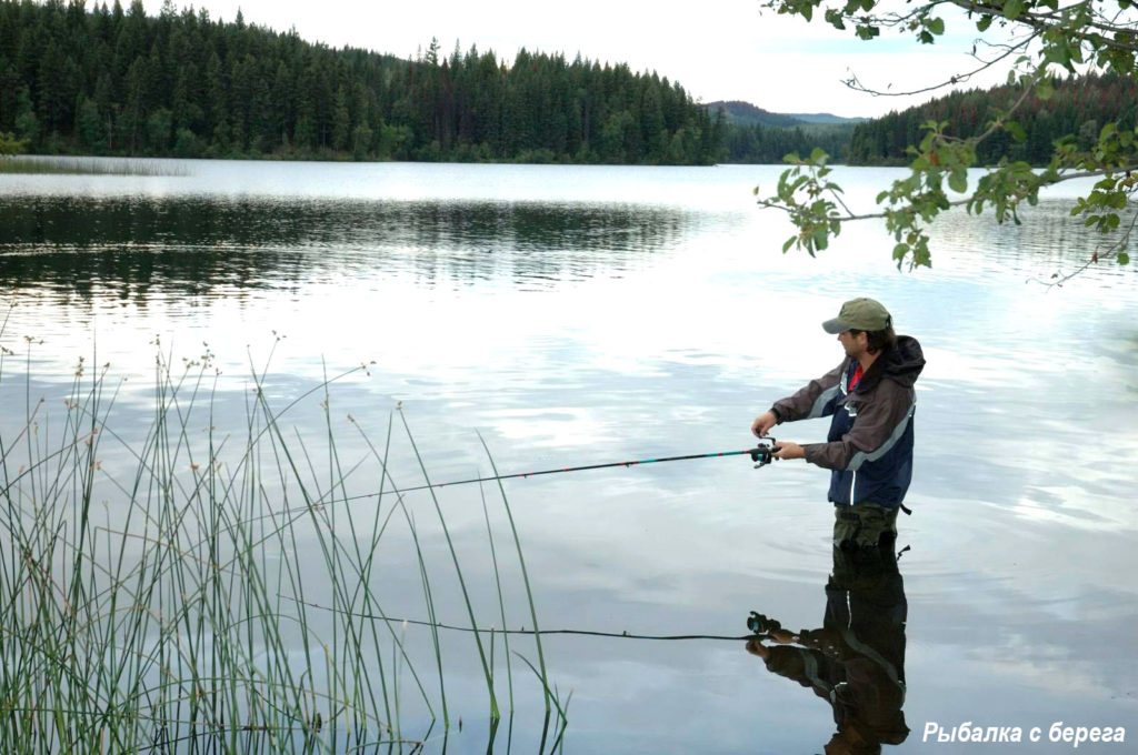 Летний рыболов