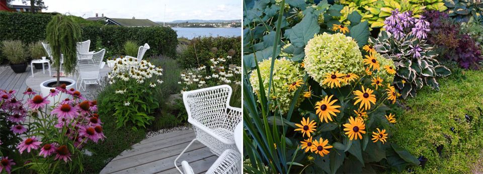 Многолетники в саду Многолетники в ландшафте