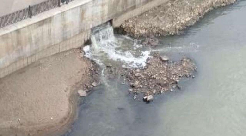 Экологические проблемы реки Кубань, фото. Экологические проблемы реки Кубань, фото.