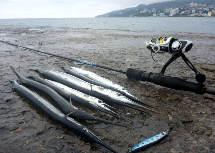 Рыбалка на Черном море