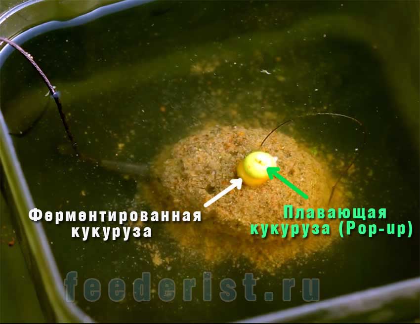 Как ловить белого амура на флэт фидер