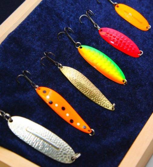 форель манит