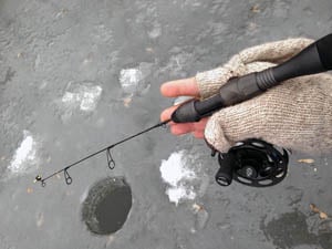 Трава для ловли щуки зимой на блесны Трава для ловли щуки зимой на блесны