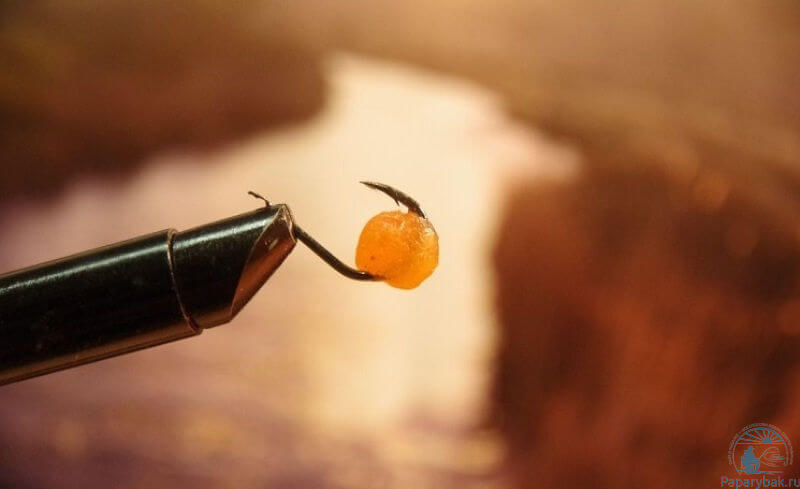 Икра как наживка