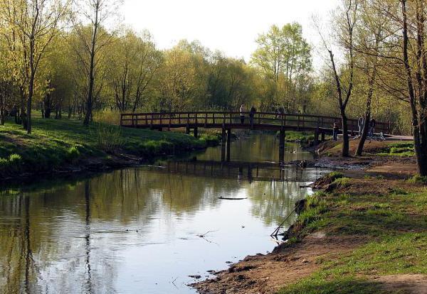 исток реки Яуза