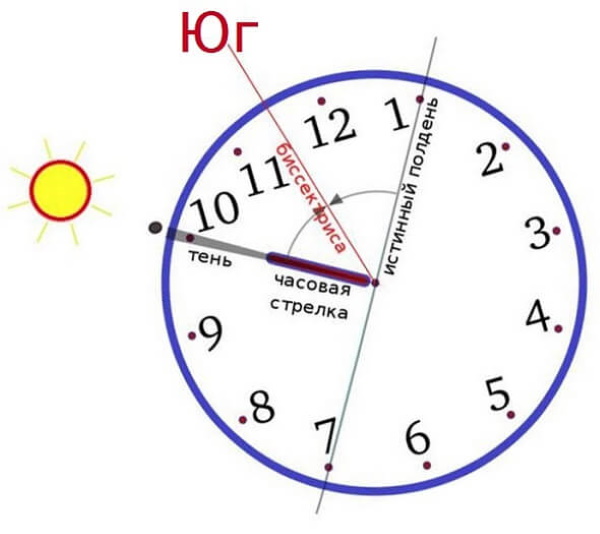 Как найти пеленг с помощью компаса, кардинальные точки компаса, на карте с помощью транспортира