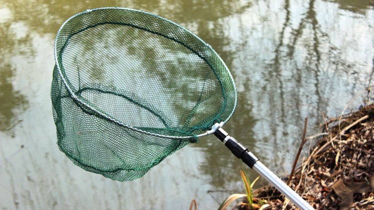 Подсак для фидера, какие бывают и как выбрать