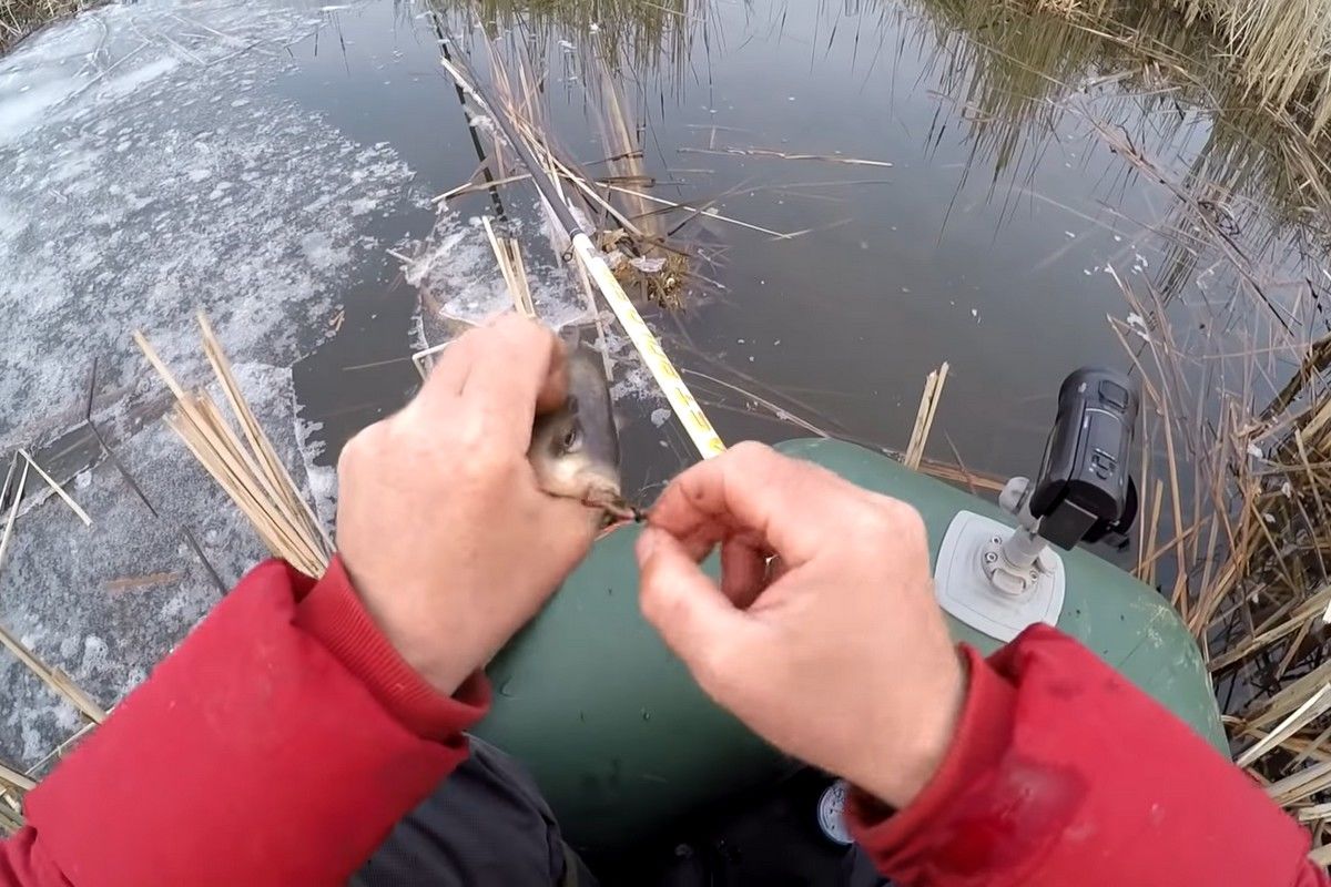 ловля карася весной: когда начинает резать, на что ловить и какую оснастку использовать
