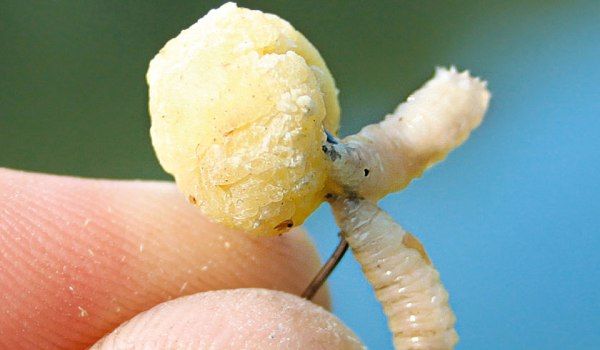 Головокружительный сэндвич