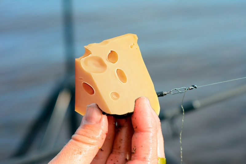 Ловля карпа на фидер на пруду. Особенности ловли карпа весной, летом, осенью