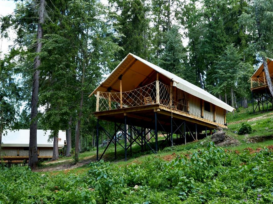 Лес рядом глемпинг