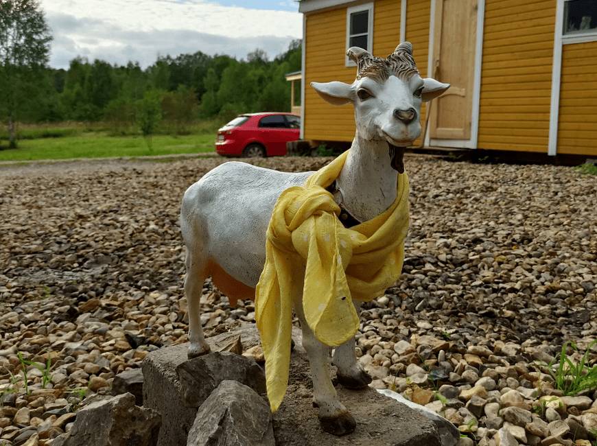 Модная коза глемпеинг