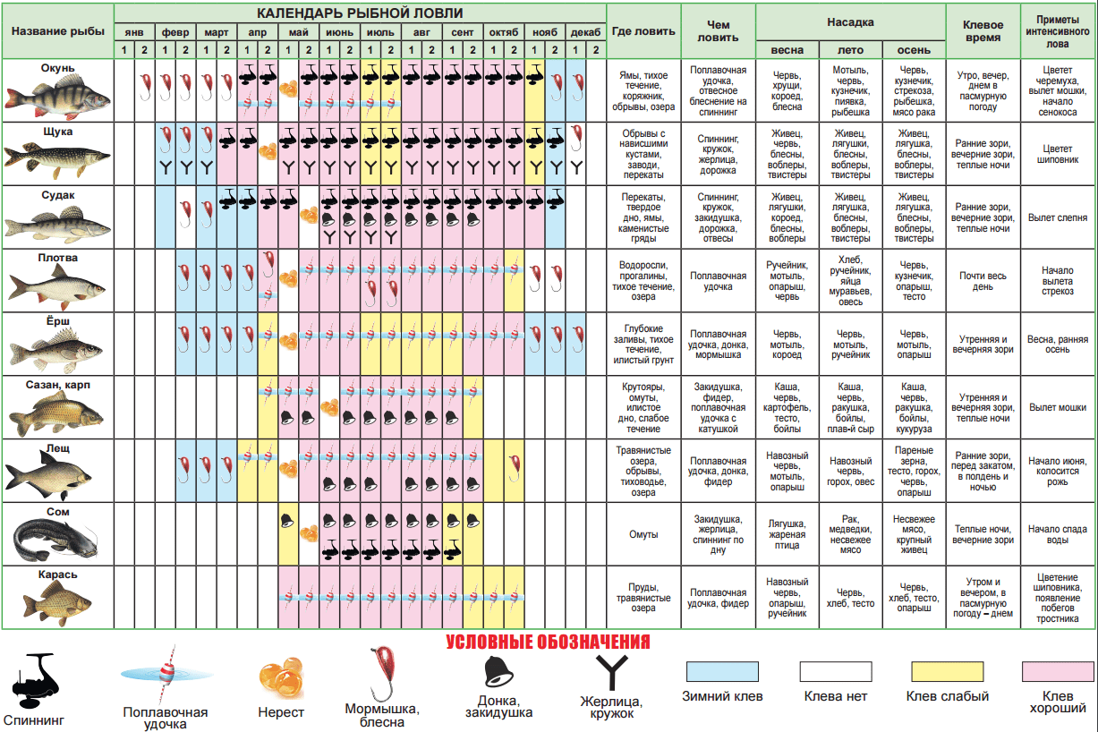 Оче дикая и лагерная рыбалка: отчеты 2022, карта рыболовных мест