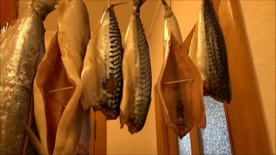 Коптильня своими руками - инструкция для начинающих. Как сделать коптильню холодного и горячего копчения? Коптильня своими руками - инструкция для начинающих. Как сделать коптильню холодного и горячего копчения?