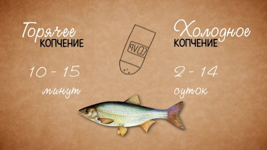 Коптильня своими руками - инструкция для начинающих. Как сделать коптильню холодного и горячего копчения? Коптильня своими руками - инструкция для начинающих. Как сделать коптильню холодного и горячего копчения?