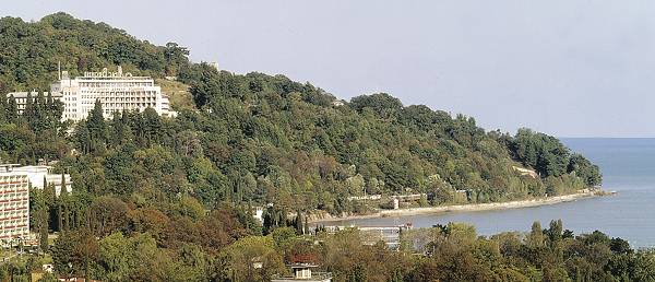 Субтропический климат Сочи