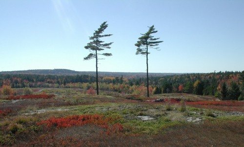 Климатические пояса и области России (подробно)