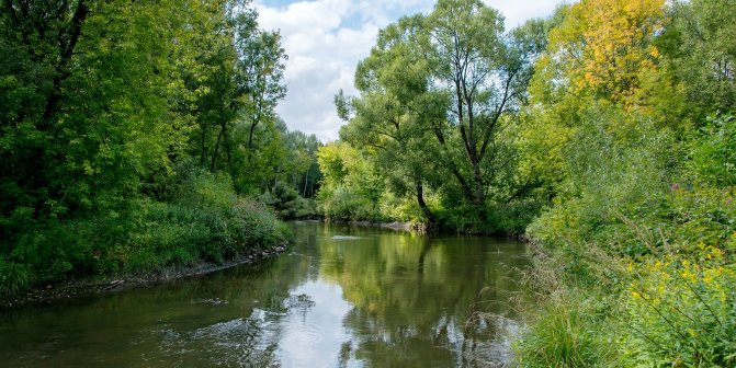 Река Яуза: ТОП-30 красивых фото с описанием, глубина и притоки, отдых