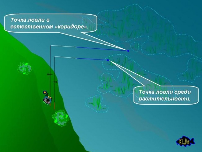 Рыбалка среди травы Ловля среди водорослей