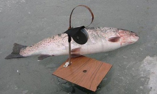 Зимняя ловля форели ловля форели зимой