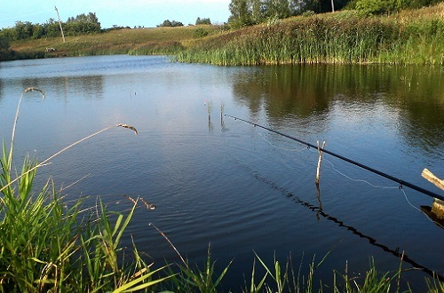 Поплавочная рыбалка