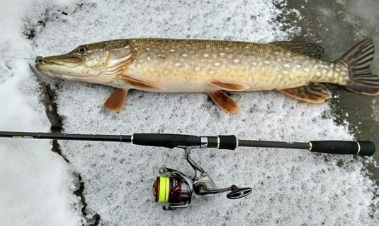 Зимняя ловля щуки на спиннинг Ловля щуки зимой на спиннинг