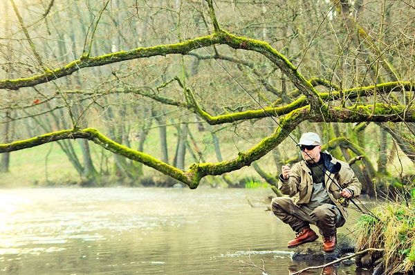 На берегу, под деревьями