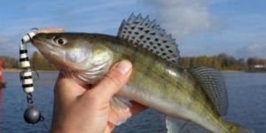 Мандульская рыбалка