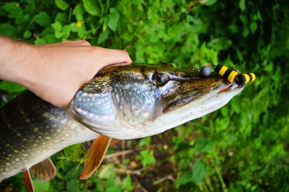 Мандула для ловли щуки в двух цветах