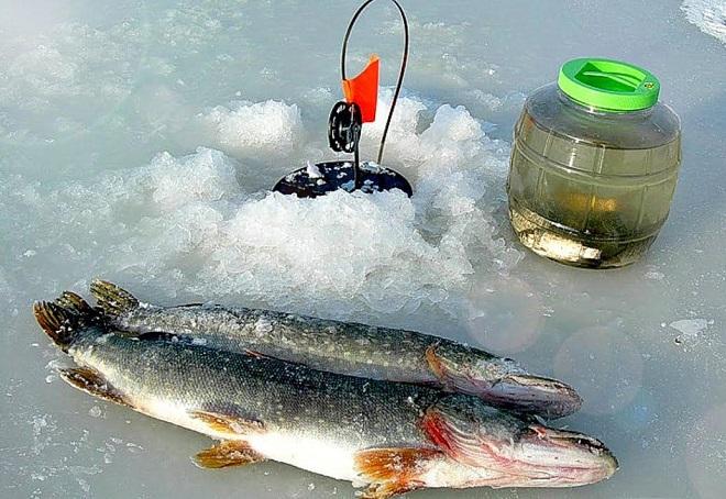 Баночка с живой приманкой