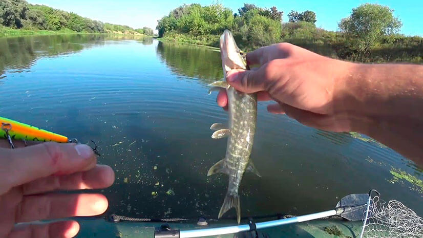 Рыбалка на Оке: ТОП-22 лучших рыбных мест для ловли по сезонам, подбор снасти