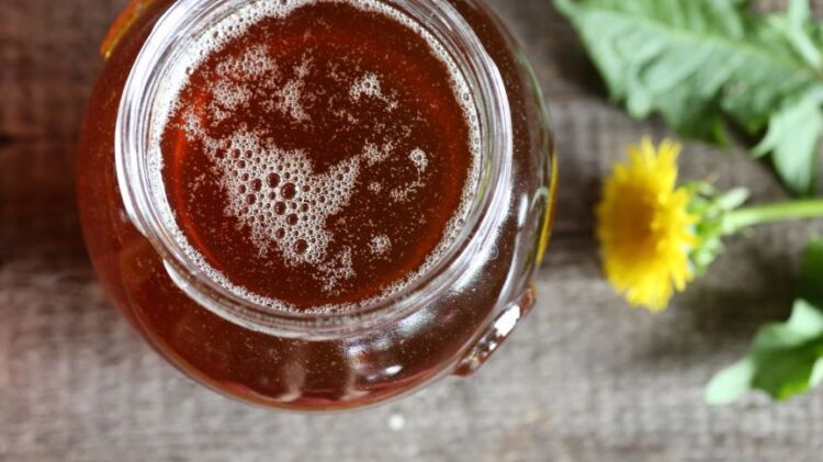 цветочный мед одуванчика