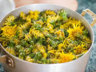 Мед из одуванчиков Мед из одуванчиков