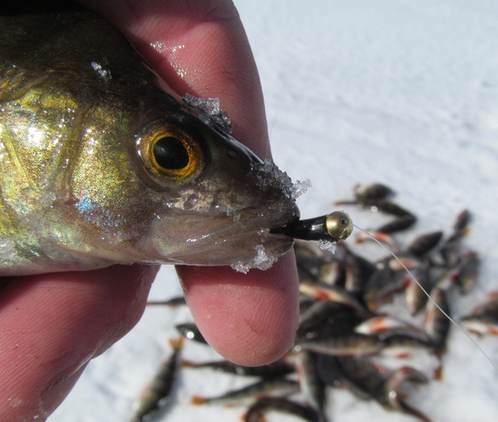 мормышка окунь