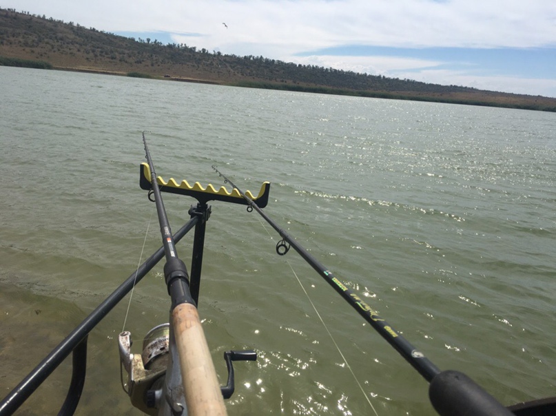 Длина поводка для фидера