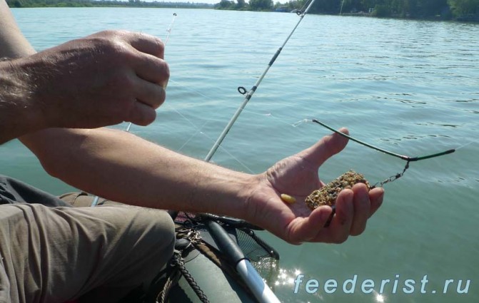 Прочный поводок и мамалыга на крючке - снасть на карпа Прочный поводок и мамалыга на крючке - снасть на карпа