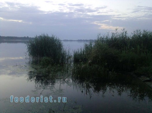 Щучье-окунево-карасевое место Щучье-окунево-карасевое место