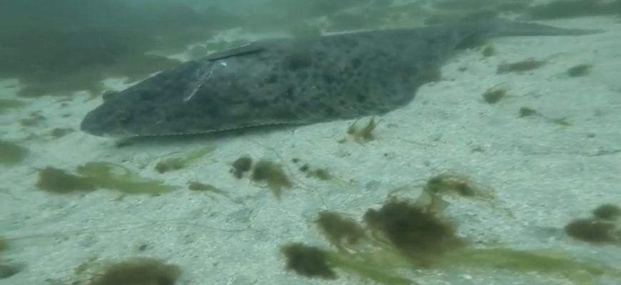 среда обитания