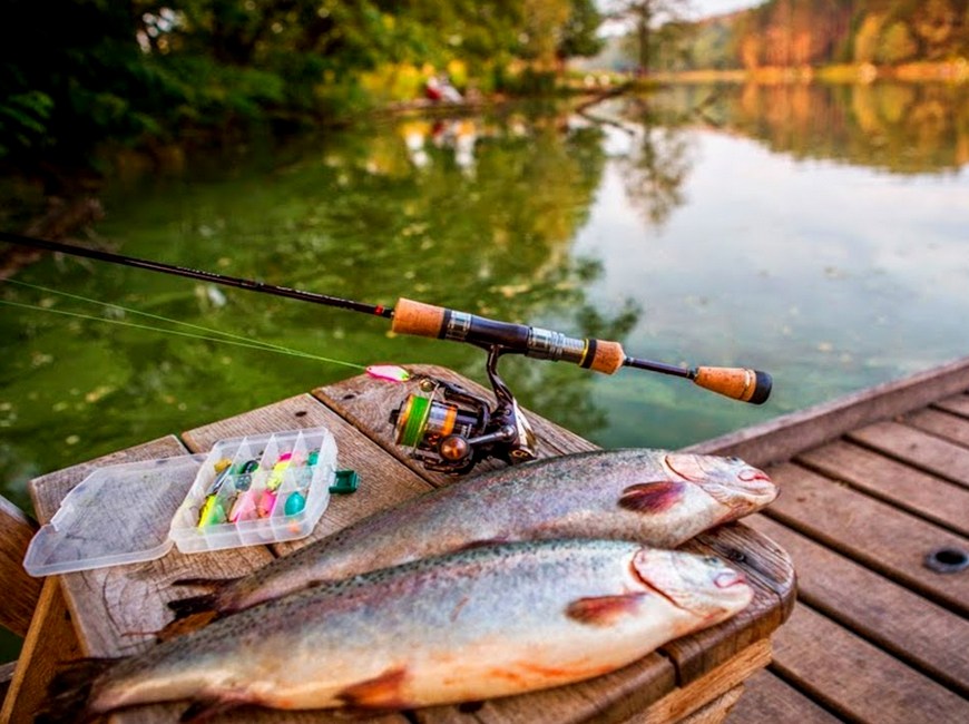Платная рыбалка на водохранилище