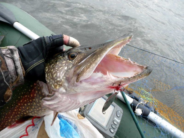 Озеро Селигер. Где находится на карте России, фото, описание, отдых