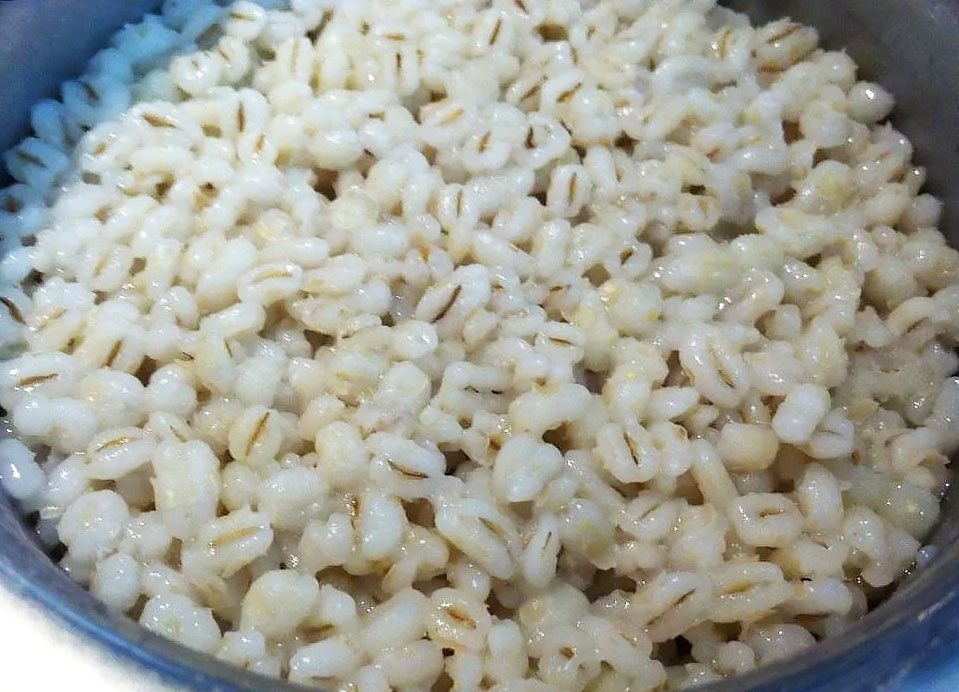 Перловка для рыбалки: как приготовить и насаживать