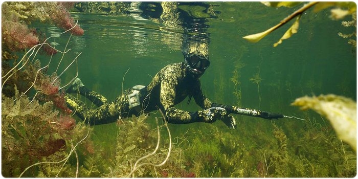 Подводная охота Подводная охота