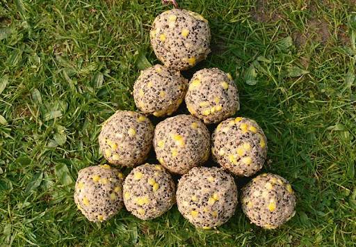 Пикер – что это за удилище? Оснастка и катушка для пикера