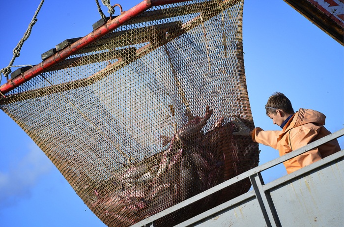 Река Урал на карте России. Куда она течет, где находится источник, характеристики