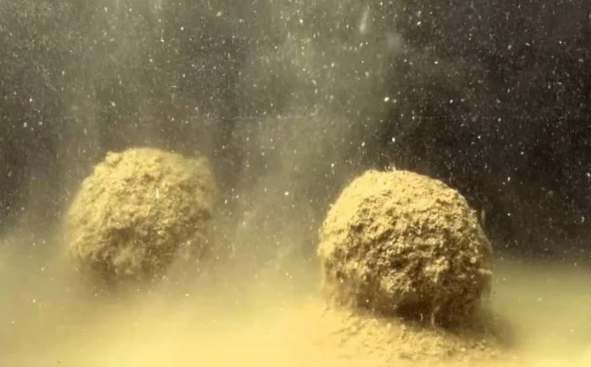 Рецепты прикормки для фидера своими руками