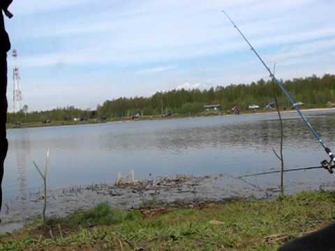 Платная рыбалка Раково