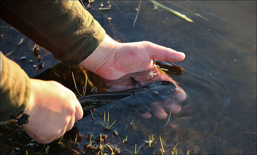 Когда разрешена рыбалка с лодки в 2023 году: сроки, с какого числа запреты (+штрафы)