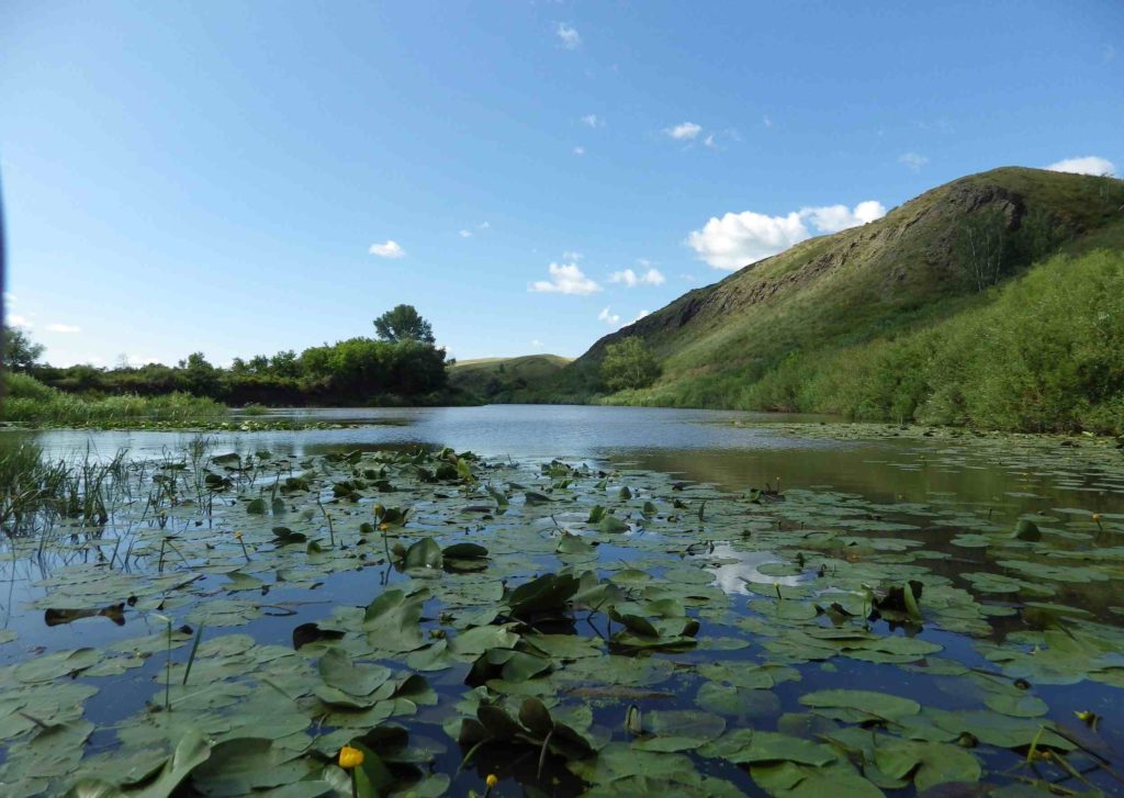 Река Урал: ТОП-80 красивых фото с описанием, глубина, притоки, рыбака и рыба