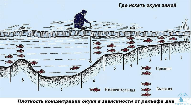 Частота абортов